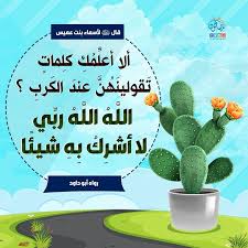 instagram post by مصلحون بينك oct 18 2020 at 1 00am utc instagram posts islam for kids islam in hindi
