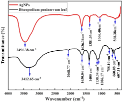 Image result for Discopodium penninervium