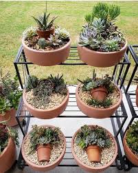 Gostou Deixe Um Comentario Curta O Post E Marque Uma Amiga Ou Um Amigo Isso Nos Ajuda Muito Succulent Garden Diy Succulents Succulent Garden Design
