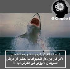 Pin By Haneen On معلومات عامه General Information Medicine Studies Poster Movie Posters