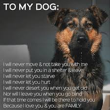A Letter To My Dog Dog Quotes Funny Dog Quotes Dogs