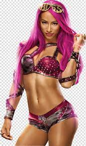 Seeking for free sasha banks png images? Wwe Sasha Banks Render Transparent Background Png Clipart Hiclipart