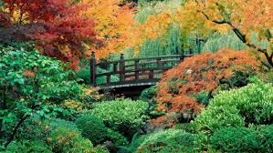 Maybe you would like to learn more about one of these? Flowers Garden Japanese Oregon Portland Washington Wallpaper 1920x1080 257433 Wallpaperup