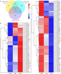 Capitol raid official narrative collapse; Figure 3 Integrated Analysis Of Mirnas And Their Targets Reveals That Mir319c Tcp2 Regulates Apical Bud Burst In Tea Plant Camellia Sinensis Springerlink