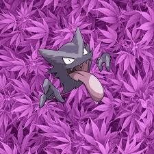Nintendo characters illustration, pokemon painting, pokémon trainers. These Were The Early Stages When I Pokemon Wallpapers Facebook