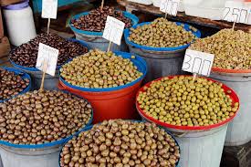 Olive Harvest Season In Albania 2020 Rove Me
