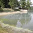 Die bevertalsperre ist eine brauchwassertalsperre zwischen den städten hückeswagen, radevormwald und wipperfürth. Baden An Der Bevertalsperre Beschrankungen Huckeswagen