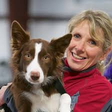 PAWSITIVE SPIRIT TRAINING & WELLNESS