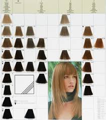 Keune Tinta Color Paleta Boja Za Kosu Hair Chart Hair Color Chart Beauty Hair Color