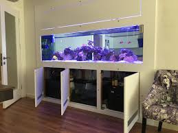 Reef Tank Akvaryum Evcil Hayvan Urunleri Evcil Hayvanlar