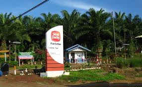 Searches related to sime darby plantation jobs. Sime Darby To Carve Off Its Property Arm Market News Propertyguru Com My