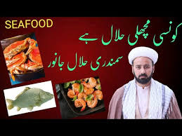 The only sea creatures that are halal are the ones that have scales. Halal Sea Food Konsi Machli Halal He Halal Fish Shia Prawn Shrimps Are Hala Lecture 299 Youtube