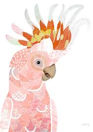 Major Mitchell Print Bird Print Cockatoo Parrot Art Etsy Parrots Art Bird Art Bird Prints