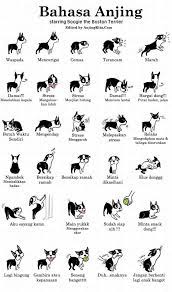 Stiker mobil motif anjing pitbull warna hitam bahan vinyl untuk. Bahasa Tubuh Anjing Komik Anjing Anjingkita Com Bahasa Tubuh Anjing Kedokteran Hewan