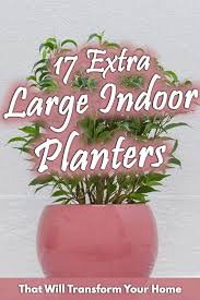 Buy large indoor plant pots and get the best deals at the lowest prices on ebay! 17 Extra Large Indoor Planters That Will Transform Your Home Garden Tabs