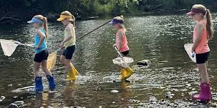 Interacting with Nature: River Study