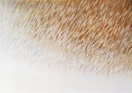 La caduta può essere distribuita su tutto il cuoio capelluto, oppure può . Https Www Singulart Com En Artworks Toribio Quintero Legendaria C 4 880001 Https Cdn Singulart Com Artworks V2 Cropped 14607 Main Zoom 880001 173d7a898d592ef11287ab73f26e3de0 Jpeg Legendaria C 4 Toribio Quintero Legendary Series Are