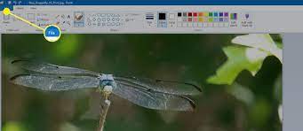 How To Convert Jpg To Png