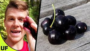 The BEST Cherry?? Black Cherry Taste Test