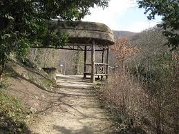Jump to navigation jump to search. 778 Dornach Arlesheim Dom Eremitage Goetheanum Ruine Dorneck