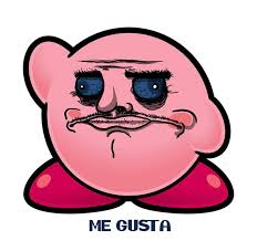 Image result for derp