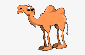 Camels can withstand variations in temperature. Camels Clipart 2 Hump Cartoon Camel Two Humps Transparent Png 496x456 Free Download On Nicepng