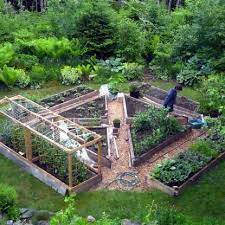 Pin On Kitchen Garden