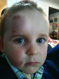 Sew Little Fabric by Paula Storm: The amazing Hooterville by Quilter Wendy  Williams!