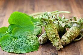 Wasabia Japonica Wasabi Japanese Spices Most Expensive Food