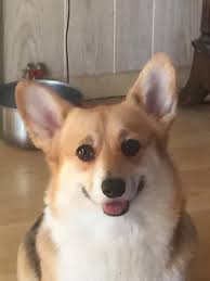 UPDATED WITH MORE FACES FROM C-Berry's...