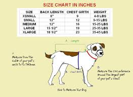Dog Size Chart