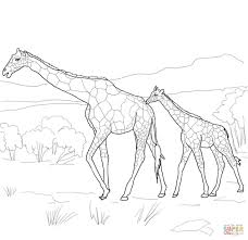 The collection is varied with different skill levels and. Baby And Mommy Giraffe Drawing
