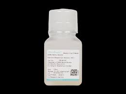 Image result for Penicillin