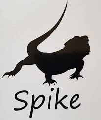 Pin On Vivarium Stickers