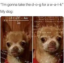 We did not find results for: Can Your Dog Spell Dog Friendly Rutherford Facebook