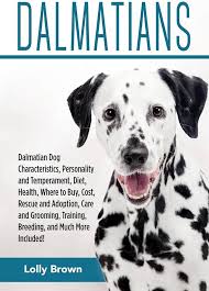 Image result for dalmatian