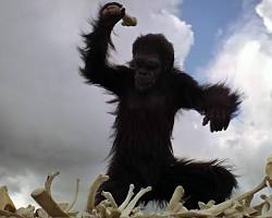 Image of Dawn of Man scene from 2001: A Space Odyssey