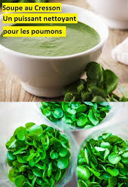 Soupe Au Cresson Un Puissant Nettoyant Pour Les Poumons Soupe Cresson Poumons Vegetables Spinach Food