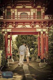 San Francisco Japanese Tea Garden Photos Japanese Tea Garden Garden Photos Photoshoot Locations