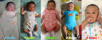 Maybe you would like to learn more about one of these? Perkembangan Bayi 0 4 Bulan Novarty
