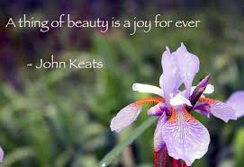 Poems About Joy Short Poems