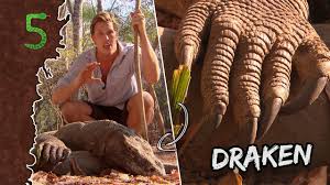 Hij vertelt over de meest bijzondere dieren die hij tegenkwam en toont filmpjes van zijn avonturen. Freeks 5 Draak Verwondt Freek Youtube