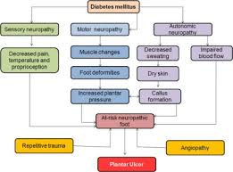 Around 15 to 25% of patients with diabetes mellitus will develop a diabetic foot ulcer during their lifetime.3 as the number of newly diagnosed diabetics are increasing yearly, the incidence of diabetic foot ulcer is also bound to increase. Matrix Metalloproteinase 9 Mmp9 In Wound Healing Of Diabetic Foot Ulcer Molecular Target And Structure Based Drug Design Sciencedirect