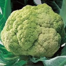 Maybe you would like to learn more about one of these? Cavolfiore Verde Di Macerata Ingegnoli