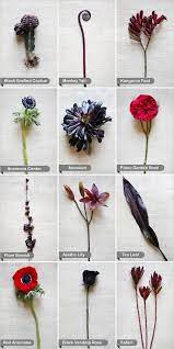These red decorative type dahlias are grown outdoors and the color tones of certain varieties may vary from the photos. Wedding Flower Guide Wedding Ideas Nownowpolka