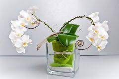 #flowerbox #selbermachen #diygeschenk #diy #geschenk #muttertag #valentinstag. Orchidee Originell Verpacken So Trumpft Sie Als Geschenk