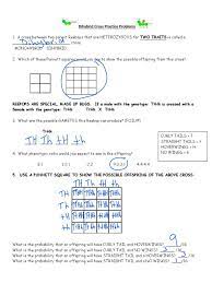 Genetics practice problems dihybrid cross worksheet answers practice problems: Dihybrid Cross Practice Problems Answer Key Dominance Genetics Zygosity