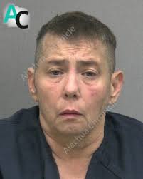 South Florida woman charged with 20 felonies after allegedly firing at  least eight shots in a Walmart parking lot