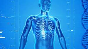 In cazuri izolate inflamatia cronica si fibroza pulmonara se dezvolta fara o cauza care poate fi identificata. Fibroza Chistica La Copii Si Adulti Mami Si Copilul