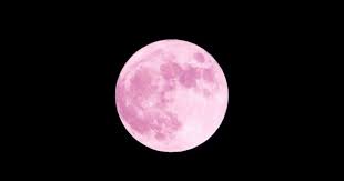 Super luna plină de pe 8 aprilie sau luna roz luna plină a lui aprilie 2020 este prima lună plină de după echinocțiul de primăvara și luna care. Superluna Roz Cea Mai Mare LunÄƒ PlinÄƒ Din An Lumea